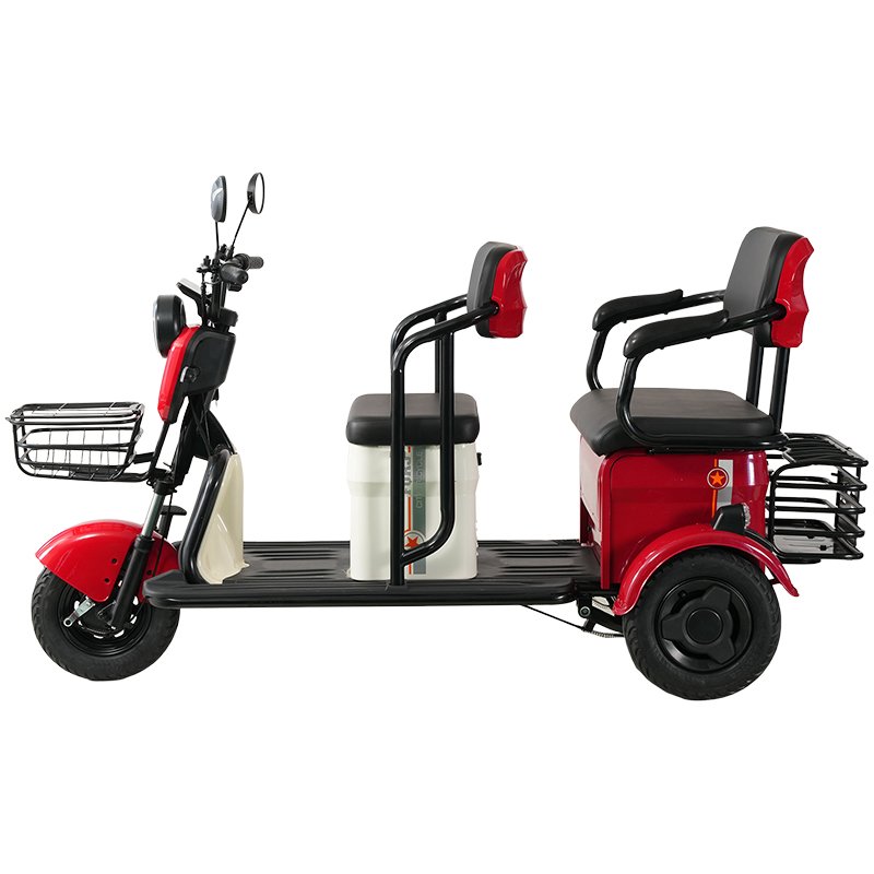 Mobility Unisex Adult Passenger and Cargo Dual-use Electric Tricycle Factory Sale 600W 60V Electric Tricycle