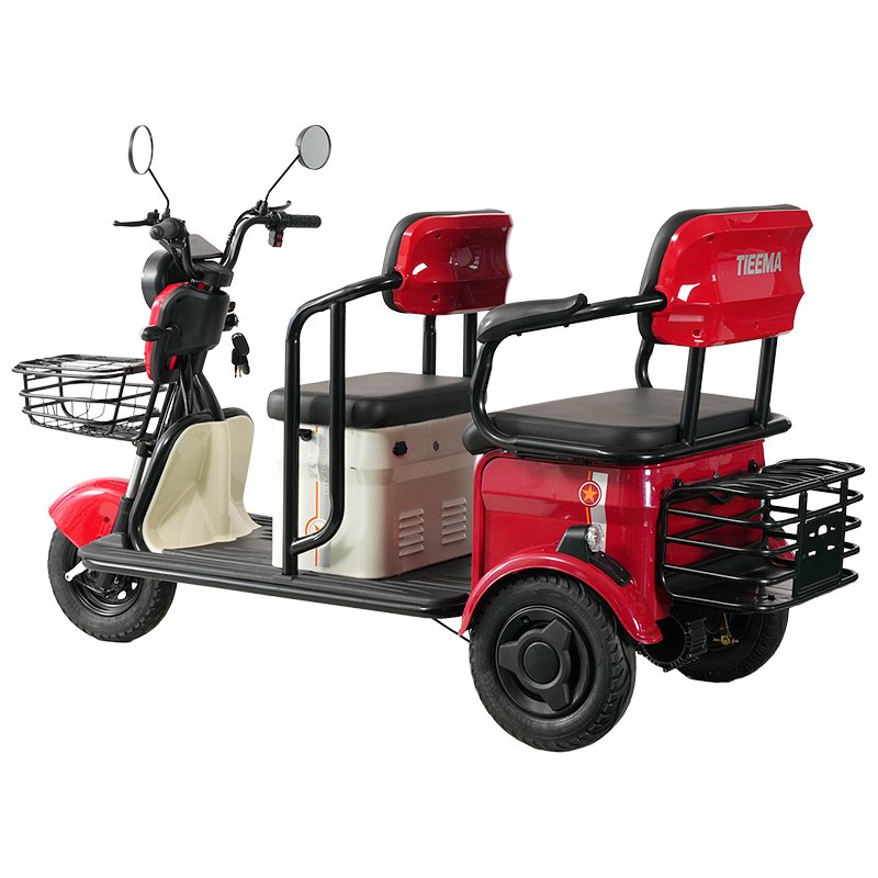 Mobility Unisex Adult Passenger and Cargo Dual-use Electric Tricycle Factory Sale 600W 60V Electric Tricycle