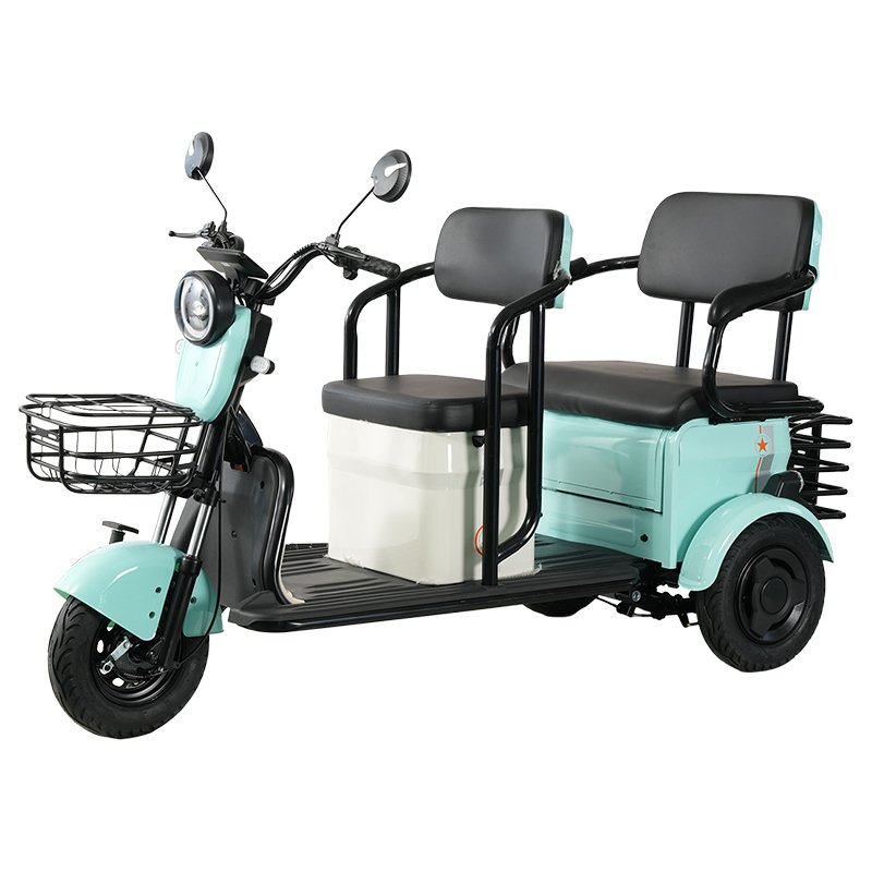 Mobility Unisex Adult Passenger and Cargo Dual-use Electric Tricycle Factory Sale 600W 60V Electric Tricycle