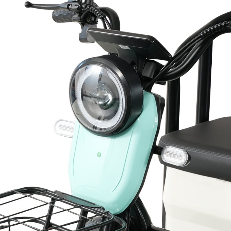 Mobility Unisex Adult Passenger and Cargo Dual-use Electric Tricycle Factory Sale 600W 60V Electric Tricycle