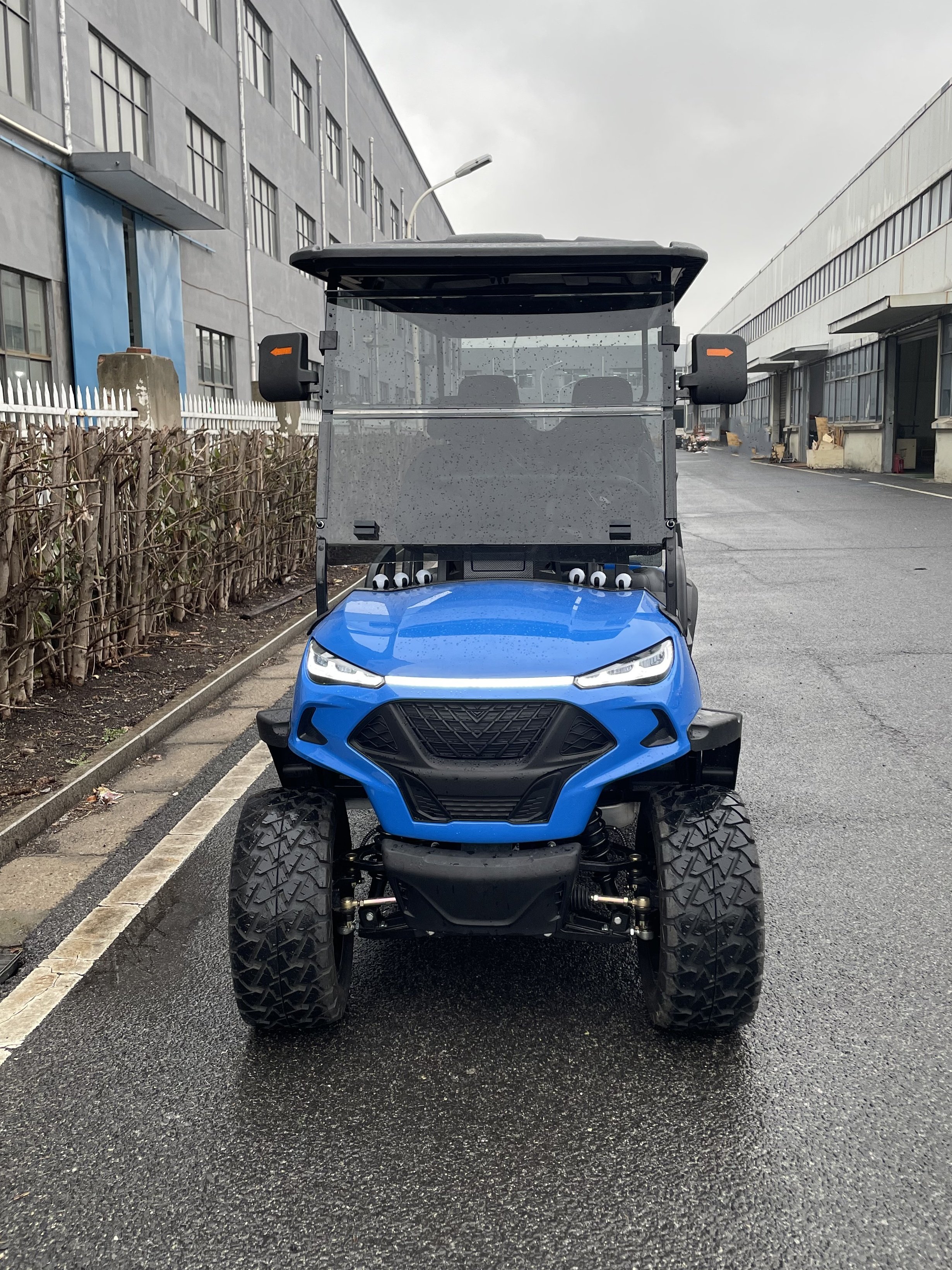 Blue Color Pattern Seat Very Powerful 72V AC System Lithium Motorised 6 Seater Lifted Electric Utility Off Road Golf Buggy Cart
