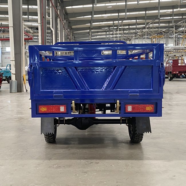Hot Selling 200cc Water Cooling Engine Tricycle for Farm Using Petrol Motorcycle for Sale