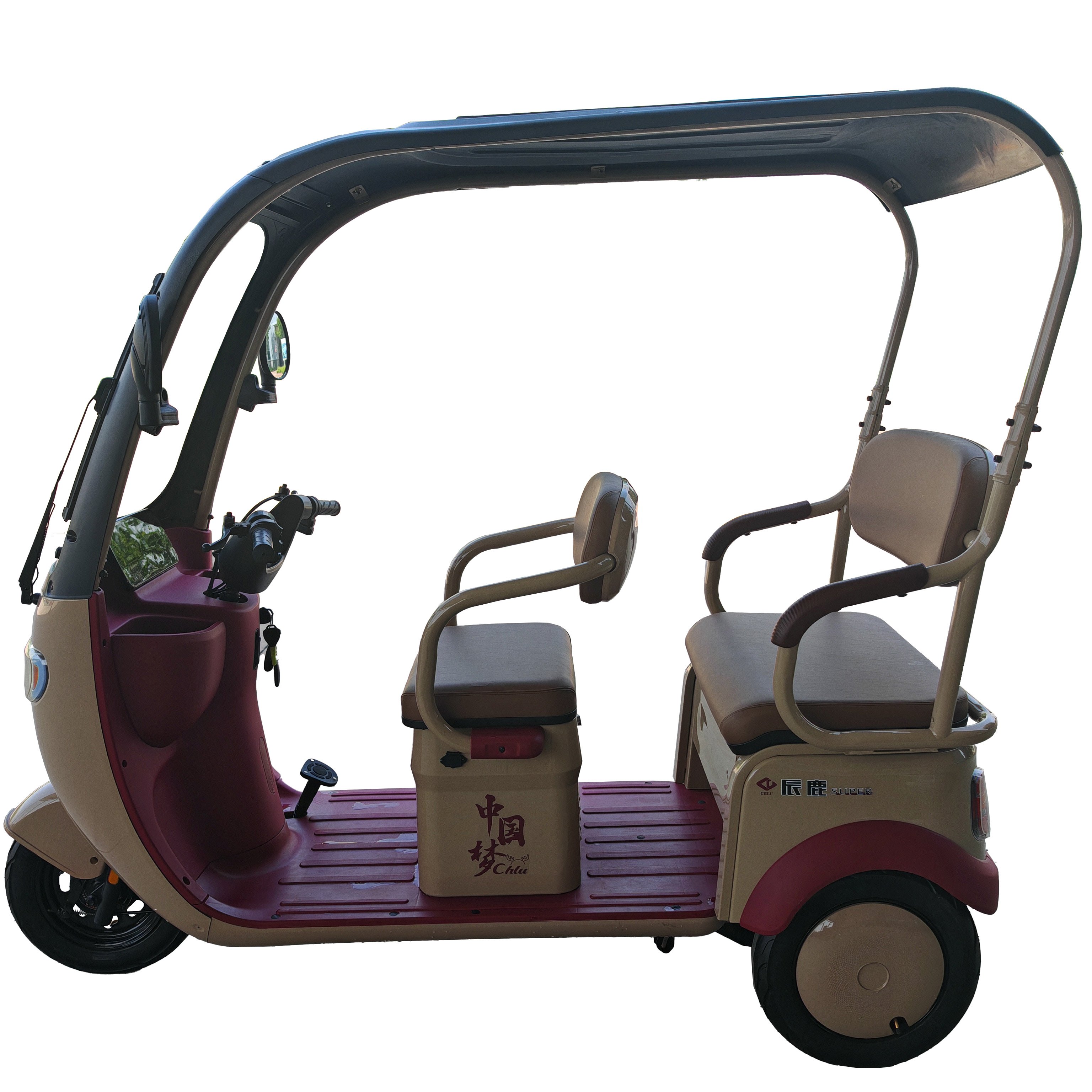 Popular Wholesale Cargo Bike Electric Tricycle for Passengers Bicycle Electric Bike 3 Wheels Tricycles with Roof