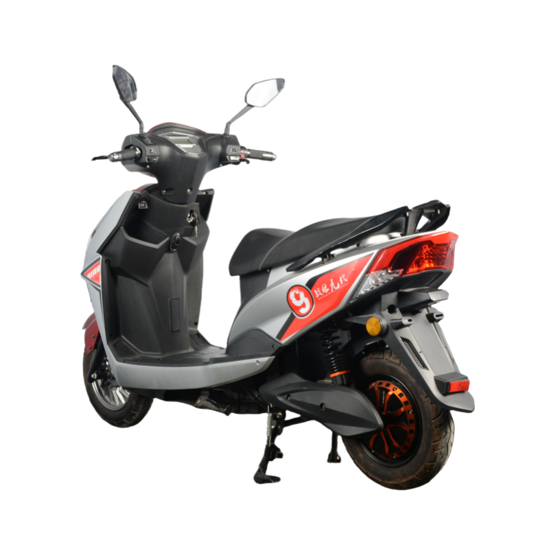 ZL9 2024 South America Best-selling 10 Inch 1000w Motor 45km/h Electric Motorcycle Electric Bicycle