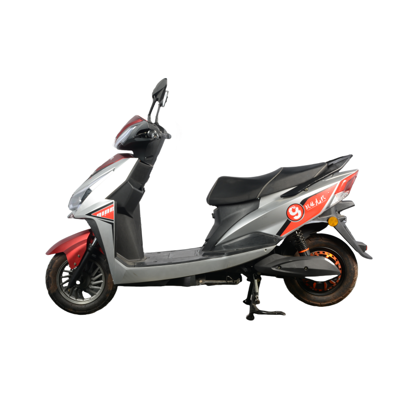 ZL9 2024 South America Best-selling 10 Inch 1000w Motor 45km/h Electric Motorcycle Electric Bicycle