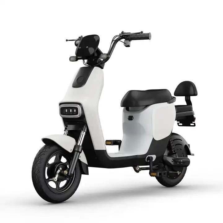 2024 New 500W Electric Bike for Adults,48V 20Ah Lead-acid Battery,18 Months Warranty, E-bike with LCD Display, Wholesale Price
