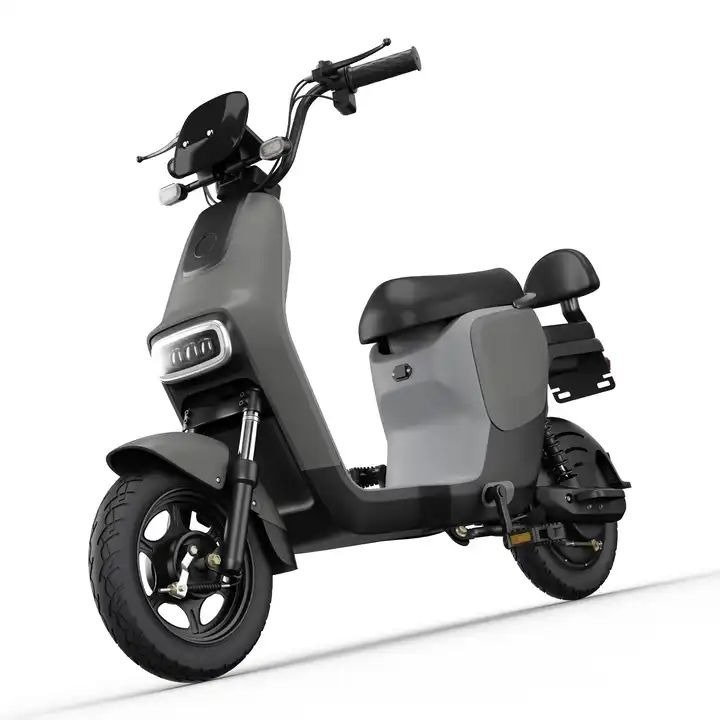 2024 New 500W Electric Bike for Adults,48V 20Ah Lead-acid Battery,18 Months Warranty, E-bike with LCD Display, Wholesale Price