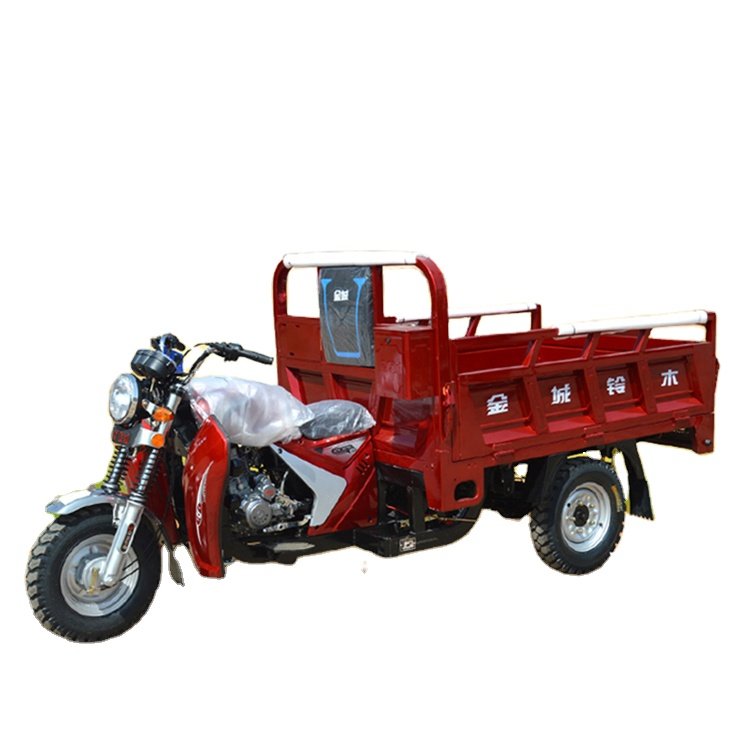2025 Motorized Tricycle Motorcycle with Cargo Space for Adults Durable & Practical ThreeWheeler for Daily Use