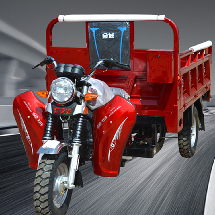 2025 Motorized Tricycle Motorcycle with Cargo Space for Adults Durable & Practical ThreeWheeler for Daily Use