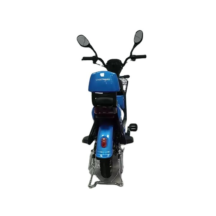 Hot-selling Blue 48v 250w 350w Ebike High Quality at Low Price Mobility Scooter for Adults