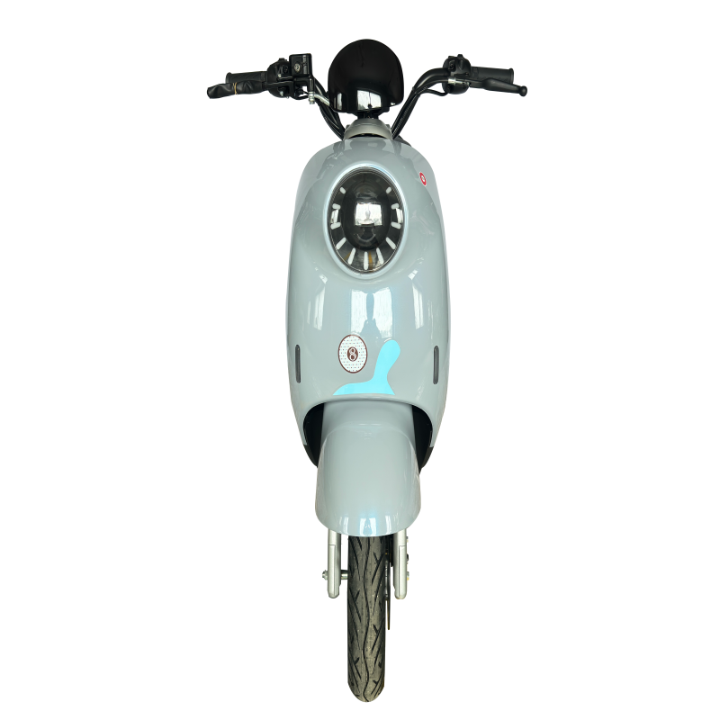 Factory Direct Electric Motorcycle 1000W Moto Electric Motorcycle Scooter 45km/h Adult