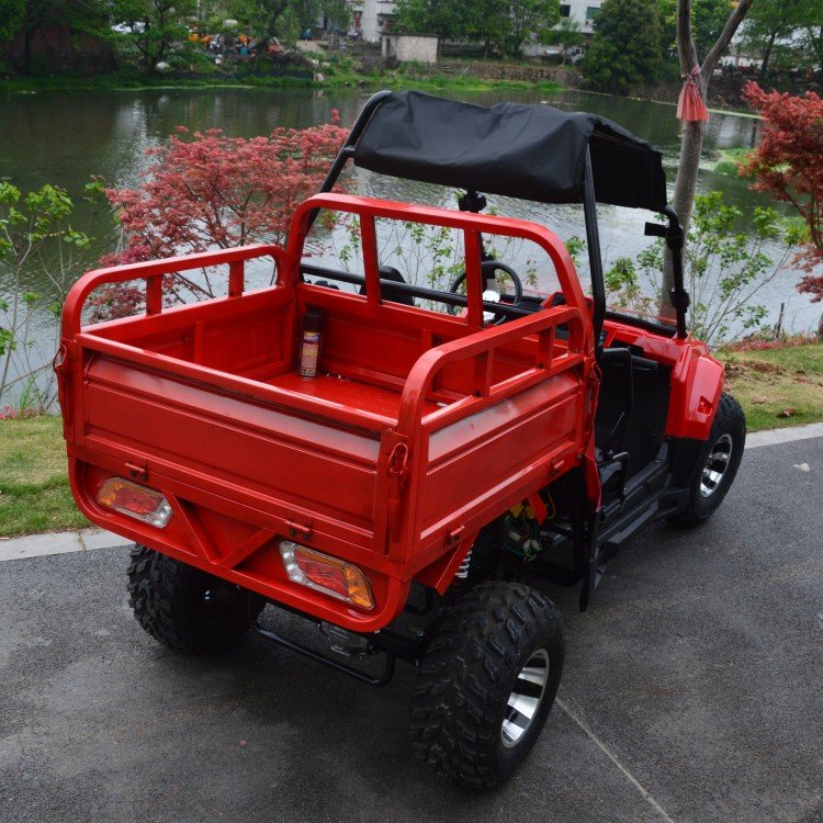 2023 High Quality Off-road Car 60v Cheap Electric Carts 2 Seater Buggy With Tow Bucket Price