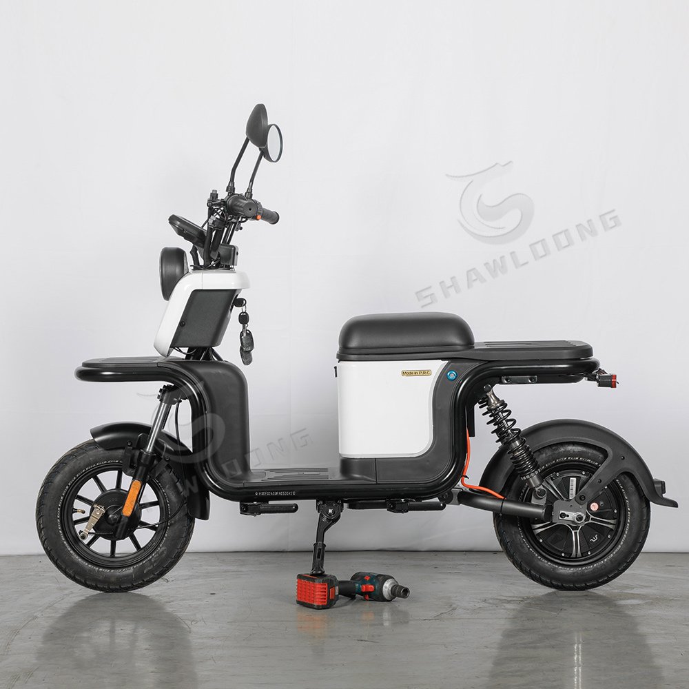 1500W New Electric Food Delivery Tricycle with Rear Box Long Range 60V for Russia