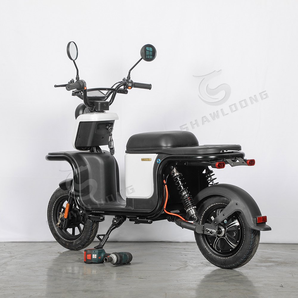1500W New Electric Food Delivery Tricycle with Rear Box Long Range 60V for Russia