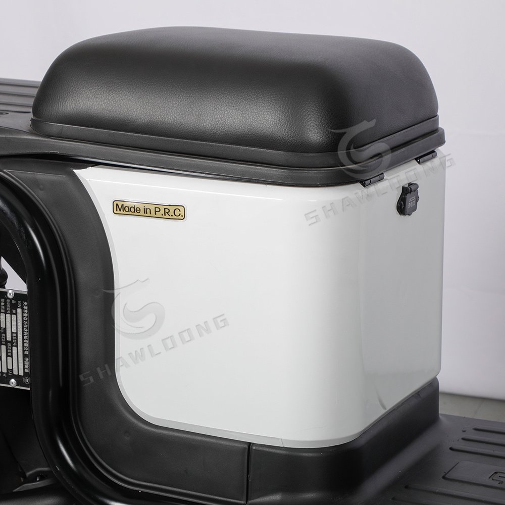 1500W New Electric Food Delivery Tricycle with Rear Box Long Range 60V for Russia