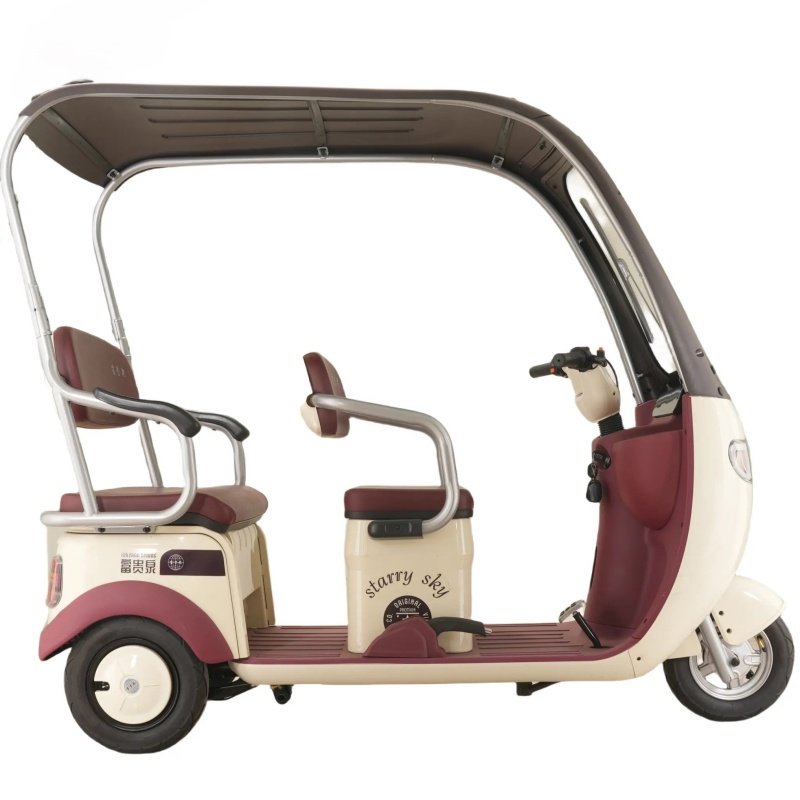 Popar Small-Sized Electric Tricycles for Adts in China 1000w Power for Smooth Riding