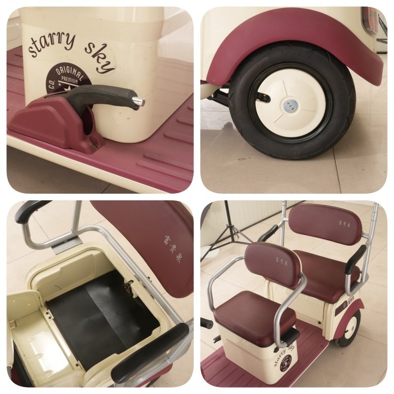 Popar Small-Sized Electric Tricycles for Adts in China 1000w Power for Smooth Riding