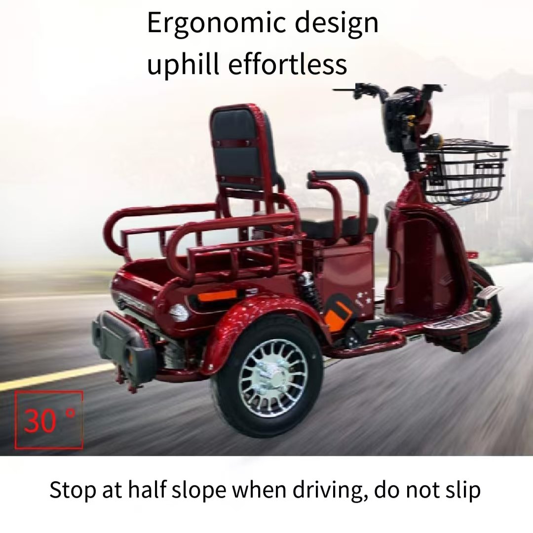 Dual-Purpose 48V Electric Tricycle for Passengers and Cargo Open-Body Leisure Leisure for Adults Elderly for Small Households