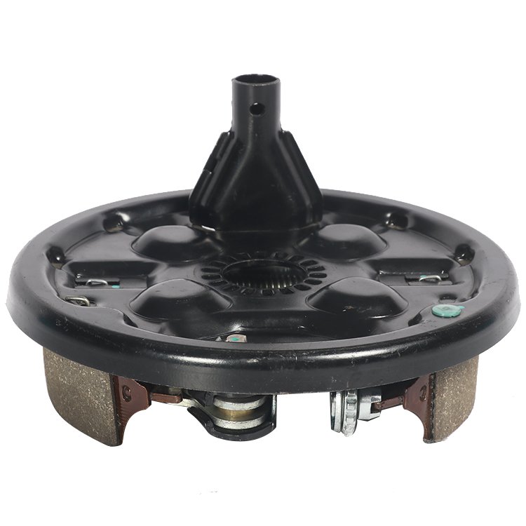 ALKO 200*50 Brake Plate Assembly for Trailers in Europe Market Trailer Brake Drum Camper Trailer Parts
