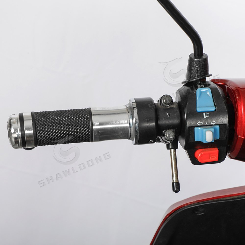 Heavy-duty Three-wheel Cargo Tricycle Body E-cargo Tilt Falgship 3-wheel Electric Car Aluminium Alloy LED Lifan 250cc Motorcycle