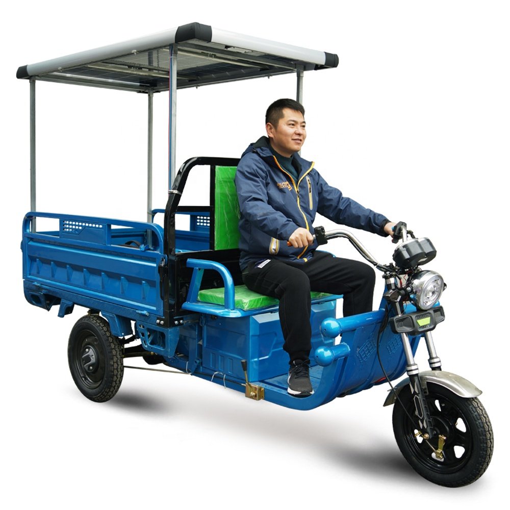 3PLUSCOCO C06Tricycle Wholesale Best Price Electric Tricycle 60v 1000W Electric Tricycle for Cargo Solar Panel