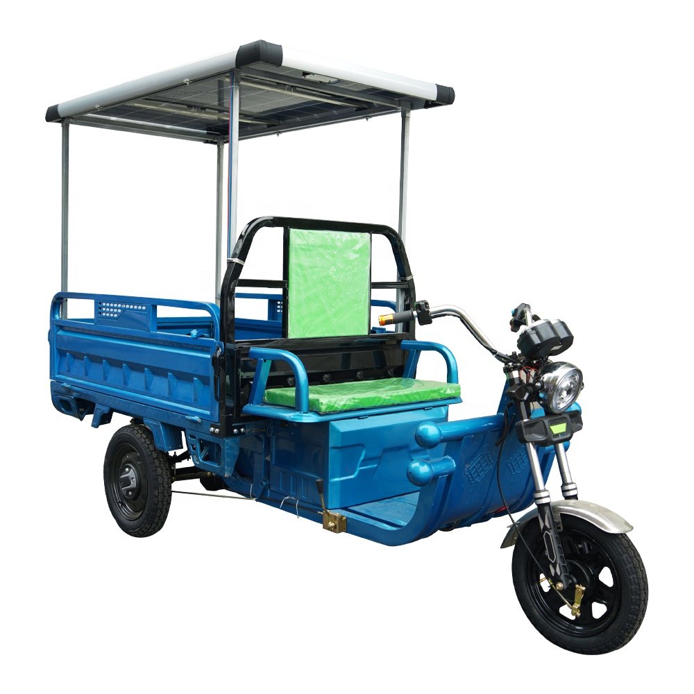 3PLUSCOCO C06Tricycle Wholesale Best Price Electric Tricycle 60v 1000W Electric Tricycle for Cargo Solar Panel