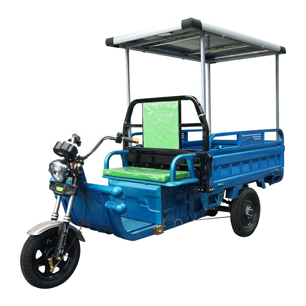 3PLUSCOCO C06Tricycle Wholesale Best Price Electric Tricycle 60v 1000W Electric Tricycle for Cargo Solar Panel