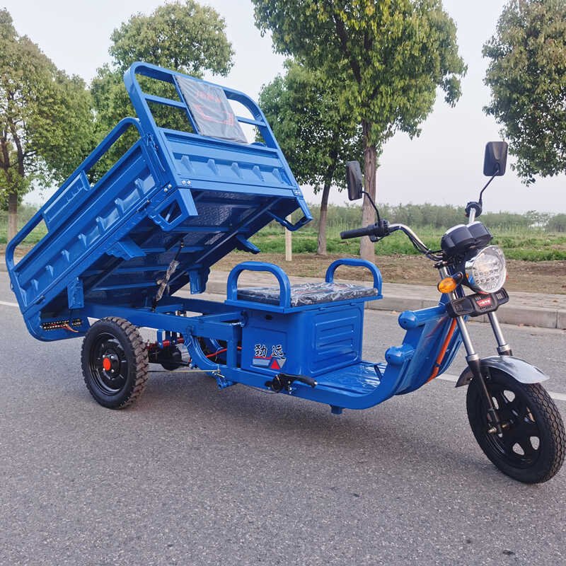 Hot Sale Electric Agricultural Tricycle Farmer's Steel Frame 3-Speed Vehicle with 60v Lead-Acid Battery for Countryside Use