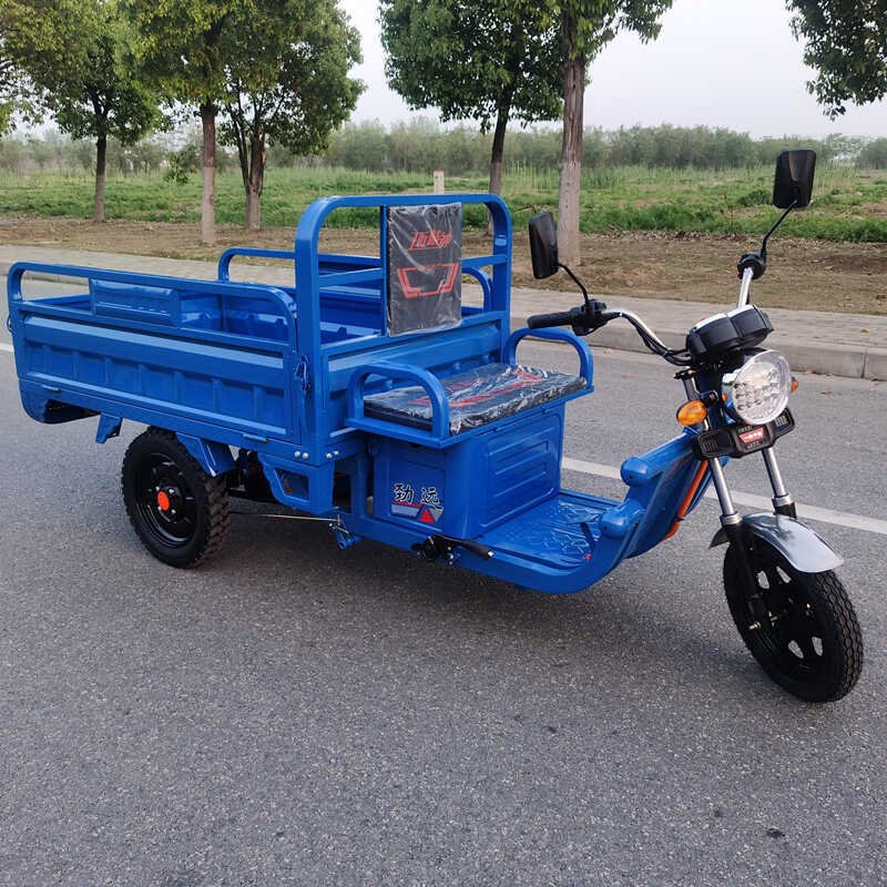 Hot Sale Electric Agricultural Tricycle Farmer's Steel Frame 3-Speed Vehicle with 60v Lead-Acid Battery for Countryside Use