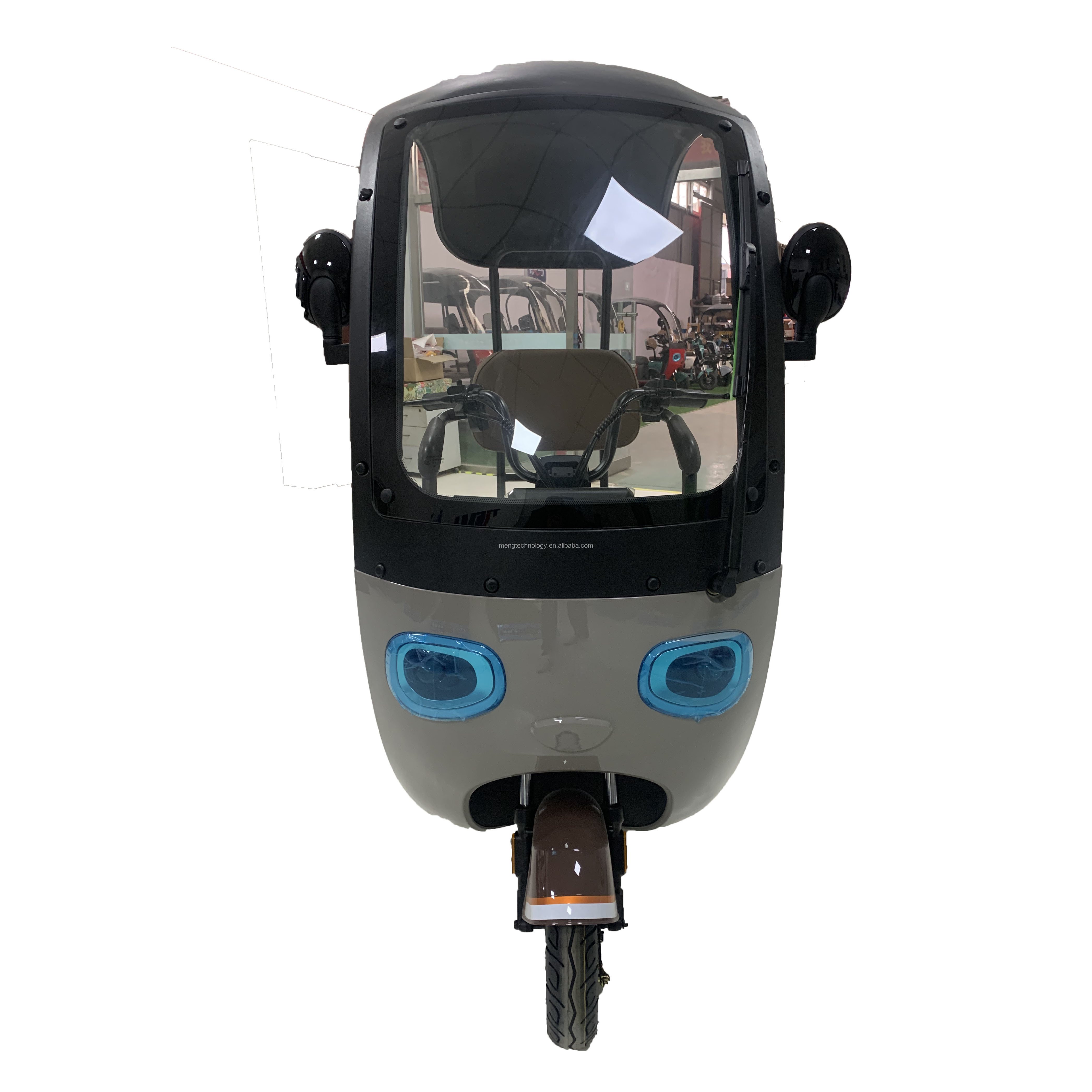 3 Wheel Electric Bike 3wheel Electric Tricycles 500w Motor with Roof