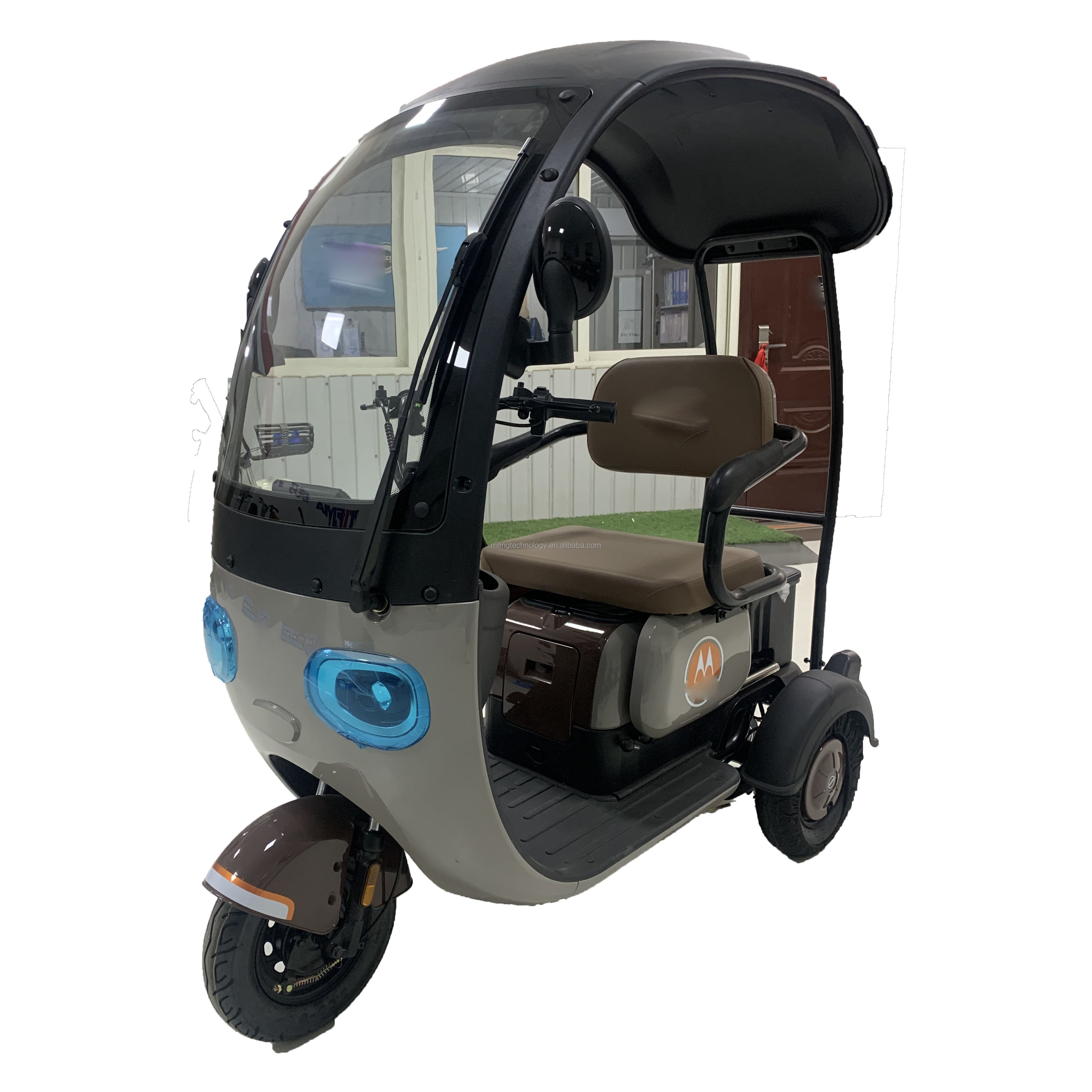 3 Wheel Electric Bike 3wheel Electric Tricycles 500w Motor with Roof