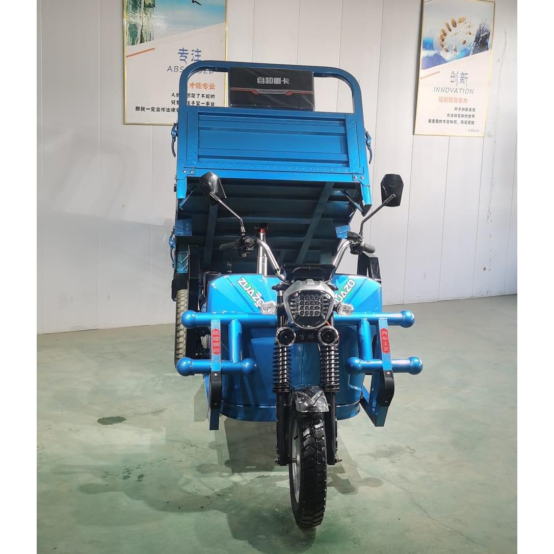 2024 Best Safety and Popular 60V 1000W Electric Tricycle for Cargo Max Body Trip Power