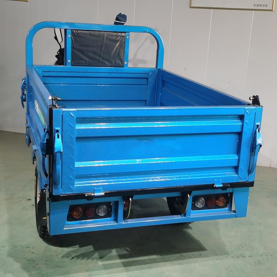 2024 Best Safety and Popular 60V 1000W Electric Tricycle for Cargo Max Body Trip Power