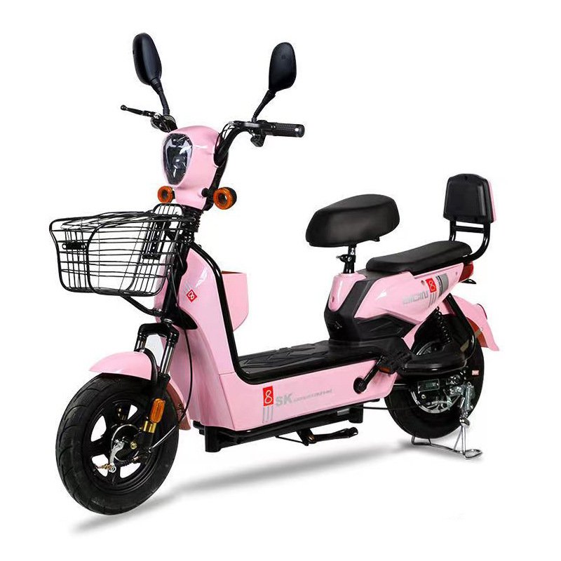Cheap Electric Bike 12Ah 350W Made in China With Double Braking System 14 Inch Explosion Proof Vacuum Tire