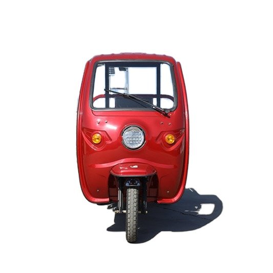 Electric Tricycle with High and Low Speed Gear Strong Power Electric Motorcycle