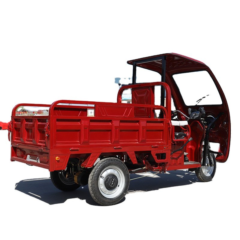 Electric Tricycle with High and Low Speed Gear Strong Power Electric Motorcycle