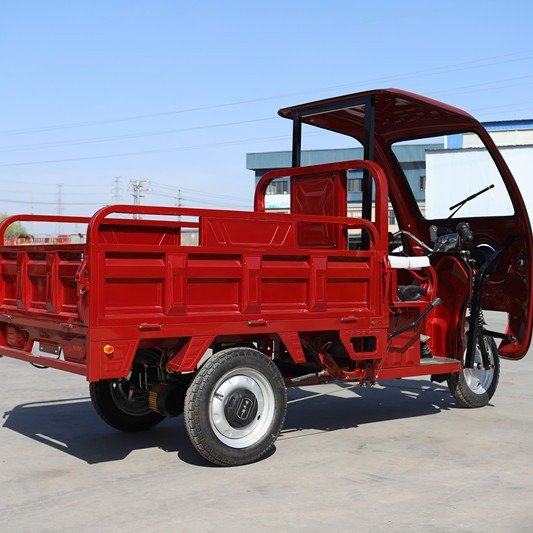 Electric Tricycle with High and Low Speed Gear Strong Power Electric Motorcycle