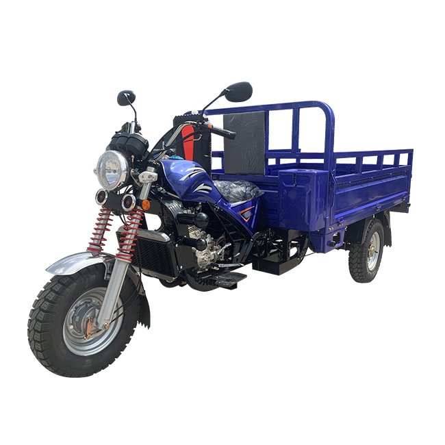Hot Sale Moto Carguero 250cc 300cc Tricycle 5 Wheel Motorcycle Motokar