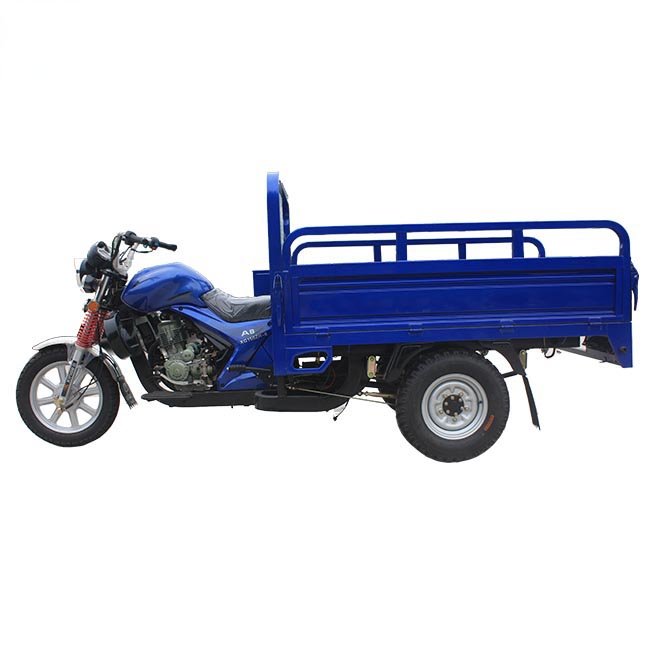 Hot Sale Moto Carguero 250cc 300cc Tricycle 5 Wheel Motorcycle Motokar