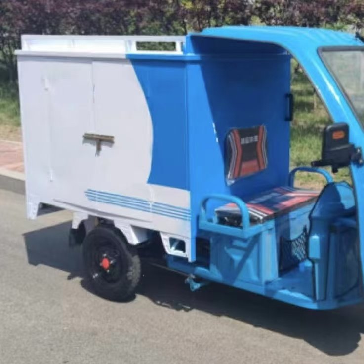 Hot Selling Simple Shed Express Delivery Vehicle Practical Electric Tricycle