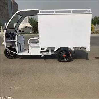 Hot Selling Simple Shed Express Delivery Vehicle Practical Electric Tricycle