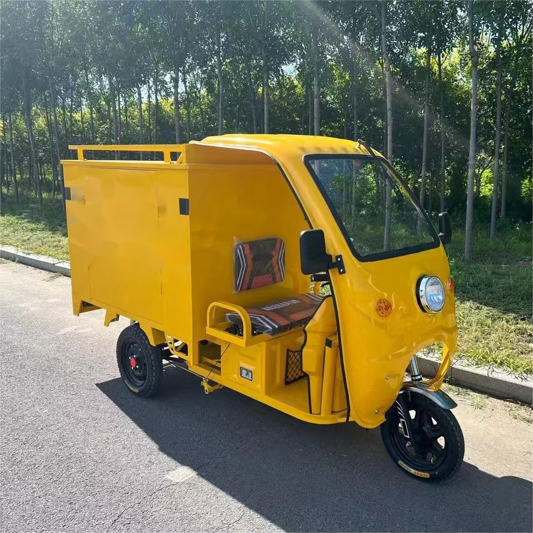 Hot Selling Simple Shed Express Delivery Vehicle Practical Electric Tricycle