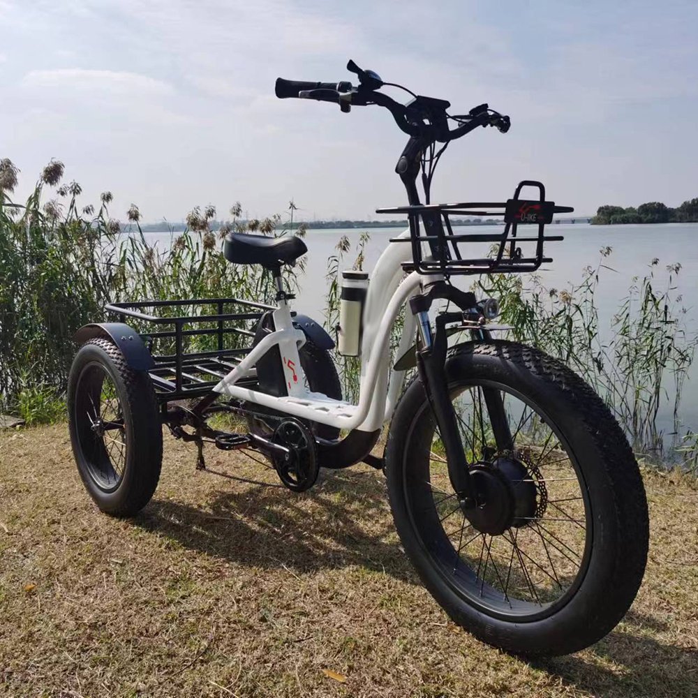 13Ah Lithium Battery Electric Tricycles 3 Wheel Electric Cargo Bike Special Frame Cargo Tricycle Super Wide Front Light E Bike