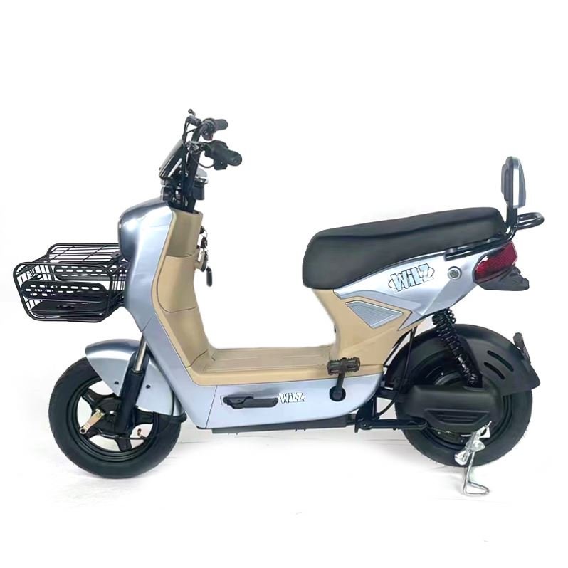 Designed 500W 14 Inch Fat Tire Low Step Big Power 48V 20AH Lead Acid Battery Retro City Ebike
