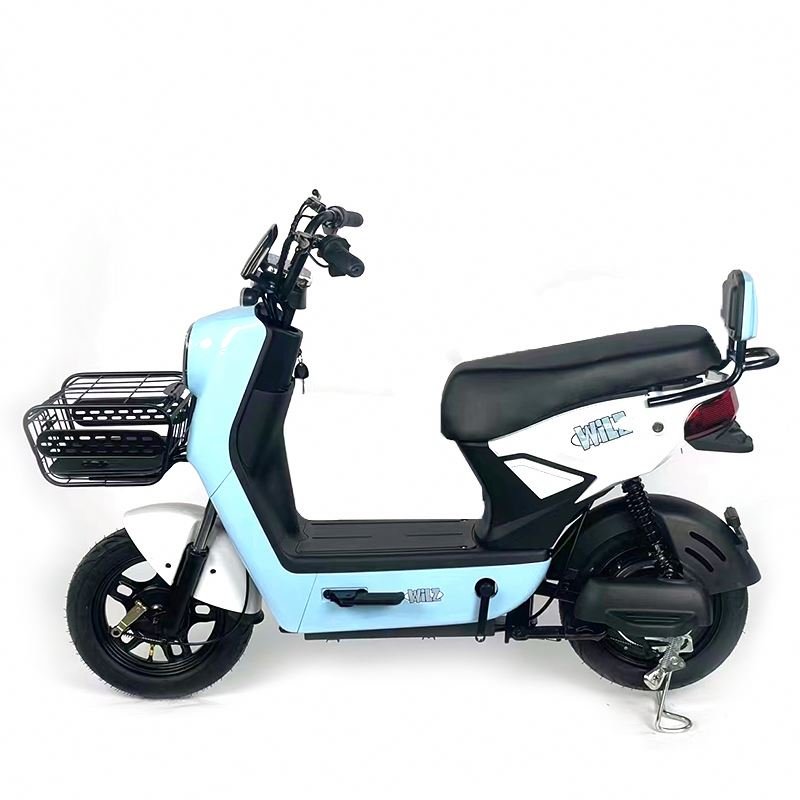 Designed 500W 14 Inch Fat Tire Low Step Big Power 48V 20AH Lead Acid Battery Retro City Ebike
