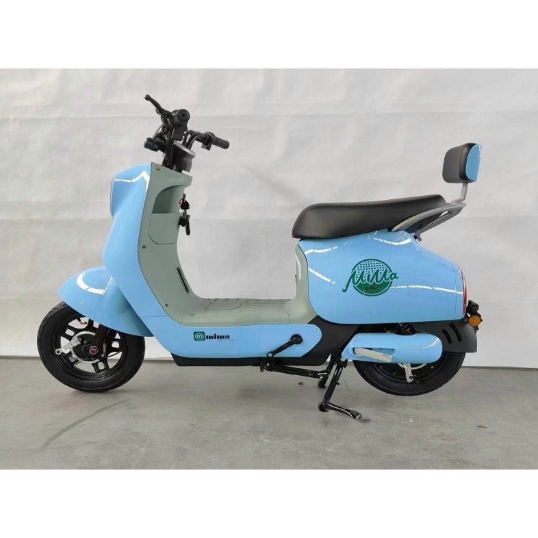 48V Electric Bicycles with Intelligent Speed Control LED Light LCD Display Rear Hub Motor Steel Frame 3 Drum Scooter on Sale