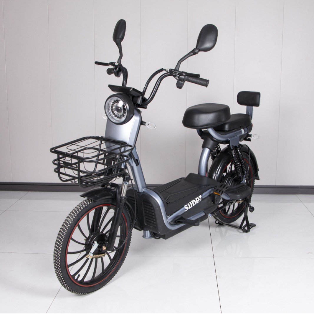 China Factory Multi-purpose Delivery 500W Electric Bicycle with Large Round Lights Urban Electric Multi-purpose Bicycle
