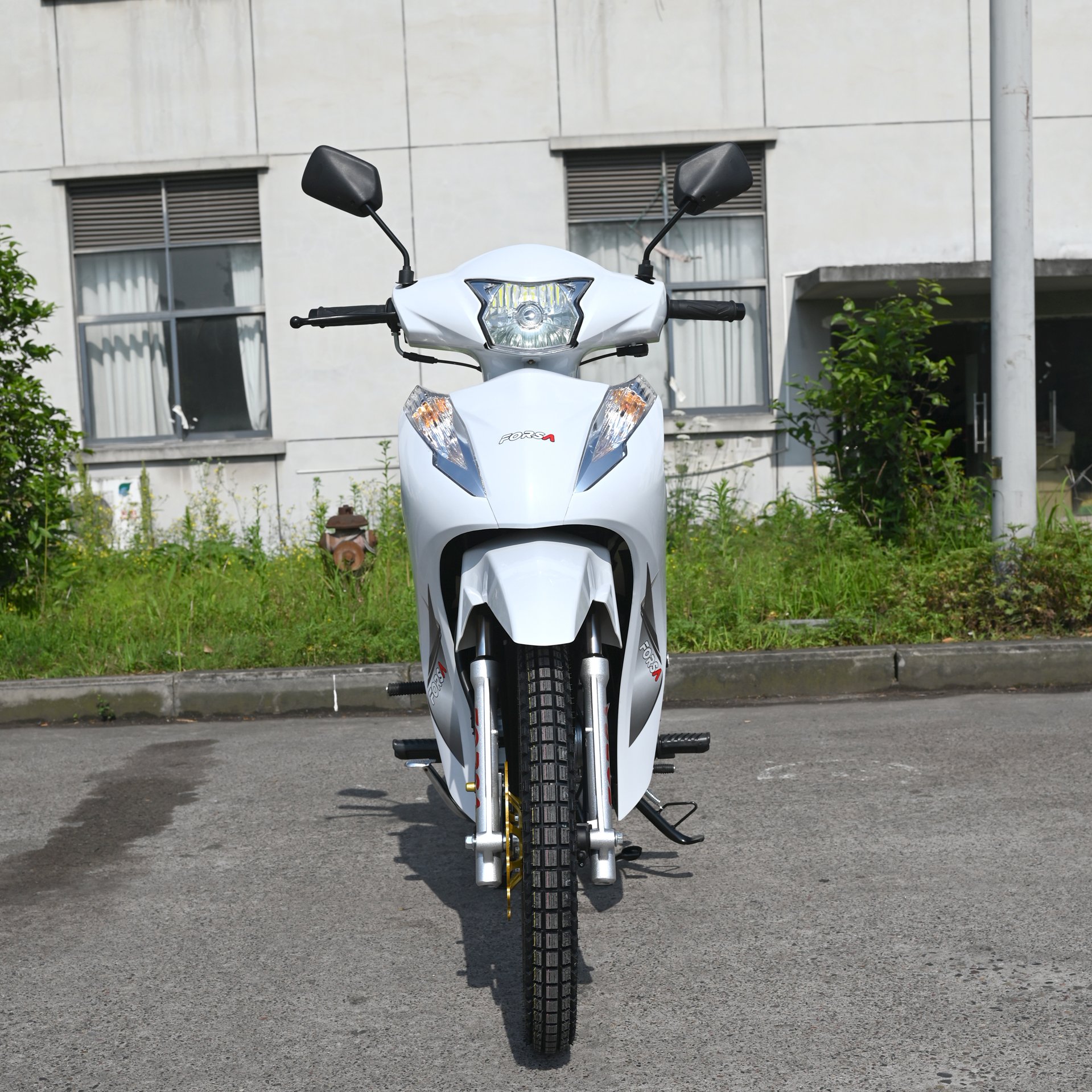 135cc Motorcycle FS135-B12 Cub Gasoline Motorcycle FORSA China Manufacturer