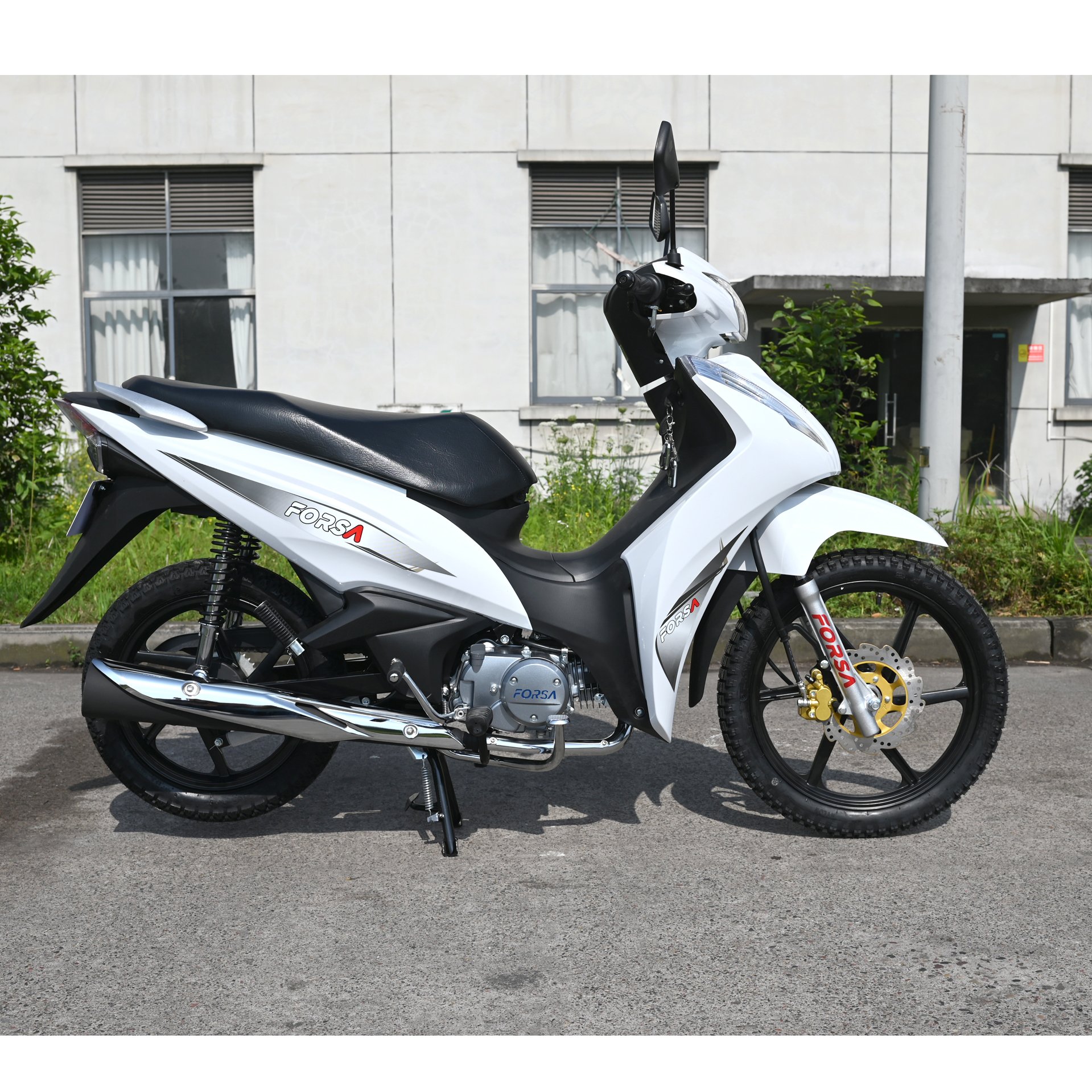135cc Motorcycle FS135-B12 Cub Gasoline Motorcycle FORSA China Manufacturer