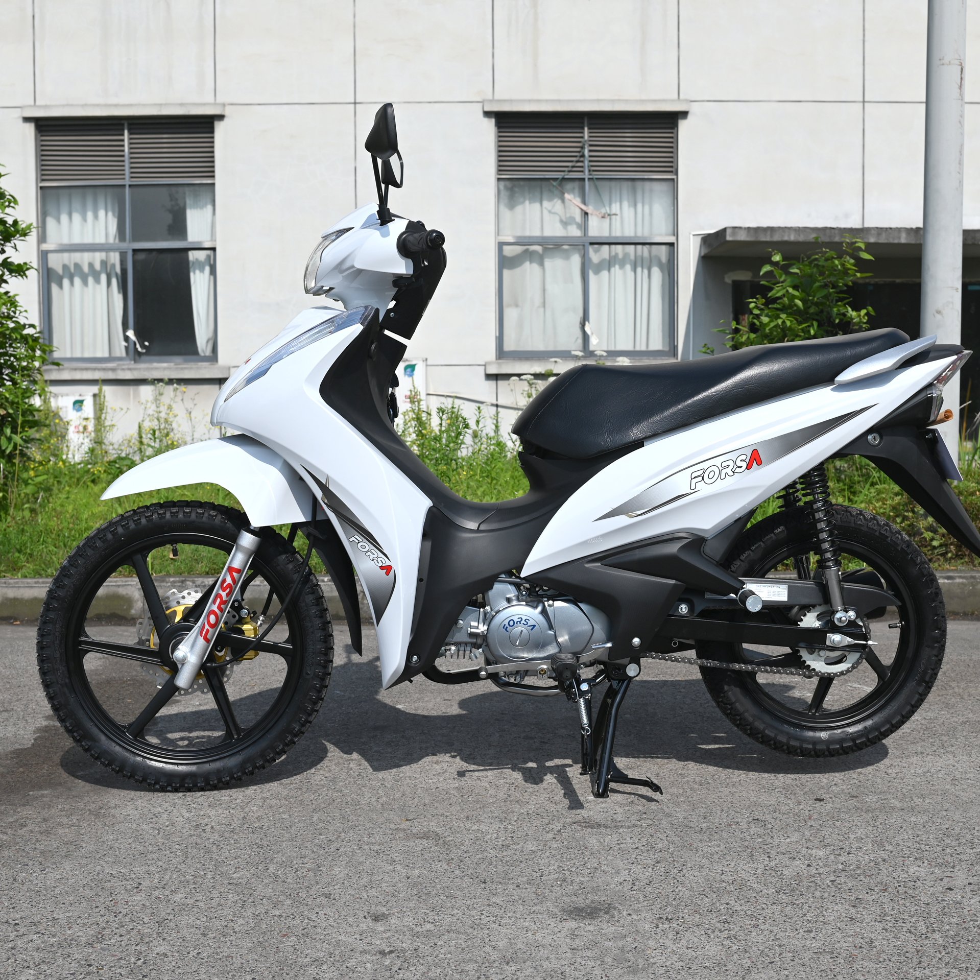 135cc Motorcycle FS135-B12 Cub Gasoline Motorcycle FORSA China Manufacturer